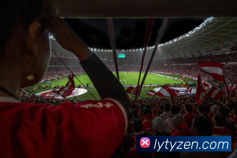 乐鱼体育平台生态图